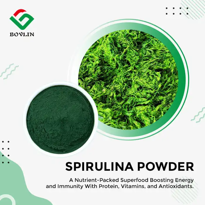 Super Green Spirulina Powder